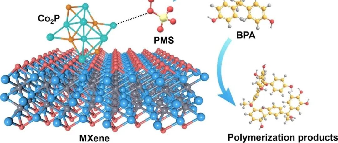 文献速递|南京理工大学JCIS:嵌入氮、硫掺杂碳/MXene的磷化钴上的电子转移机制引发的优异双酚A去除性能