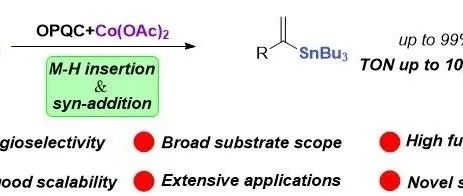 浙江大学陆展/洪鑫课题组：钴催化末端炔烃马氏锡氢化反应