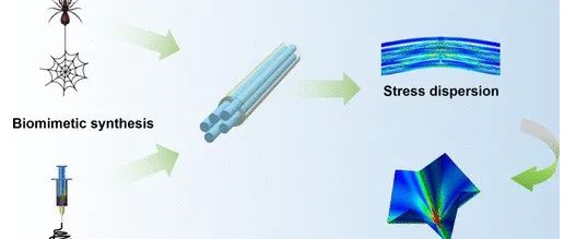 广东工业大学《ACS AMI》：受蜘蛛丝启发!超柔性碳纳米纤维，用于软体机器人中的多维复杂变形传感