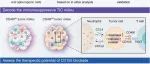 Cancer Cell│覃文新/王存/高强等合作揭示CD49f阳性肝癌细胞亚群免疫逃逸机制和精准治疗策略