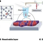 研究进展：纳米金刚石量子传感器-氮空位 | Nature Reviews Physics