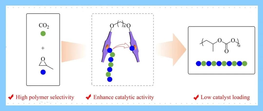 中国科学院长春应用化学研究所王献红团队研究论文： 柔性桥联双核卟啉铝催化二氧化碳/环氧化物交替共聚反应