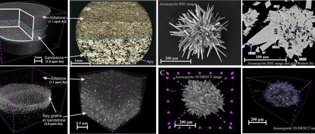 Geosci. Front.| 造山型金矿含金毒砂的综合研究：高分辨率3DX射线计算机断层扫描、LA-ICP-MS和EMPA数据