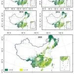 北京大学郭庆华研究团队发布1990-2020年中国人工林与天然林分布数据集