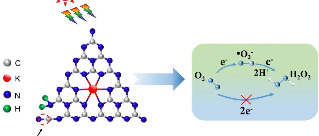 成都大学孙艳/加州大学张金中团队：钾离子和氰基修饰g-C3N4实现高效光催化合成H2O2