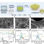 东华大学覃小红教授、张雪萍研究员 Adv. Mater.：高效稳定超吸湿海绵用于可持续的大气水收集与发电