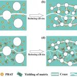 宁波材料所汪龙/川大杨伟 Macromolecules：具有可控泡孔尺寸的超韧聚乳酸共混物泡沫