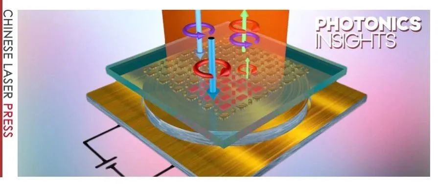 Photonic Insights | 南丹麦大学Sergey I. Bozhevolnyi院士/丁飞：电控可调的光学超表面