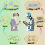 深圳大学《Chem Rev》：综述！柔性神经形态的纳米材料（石墨烯/碳纳米等）的最新进展和应用