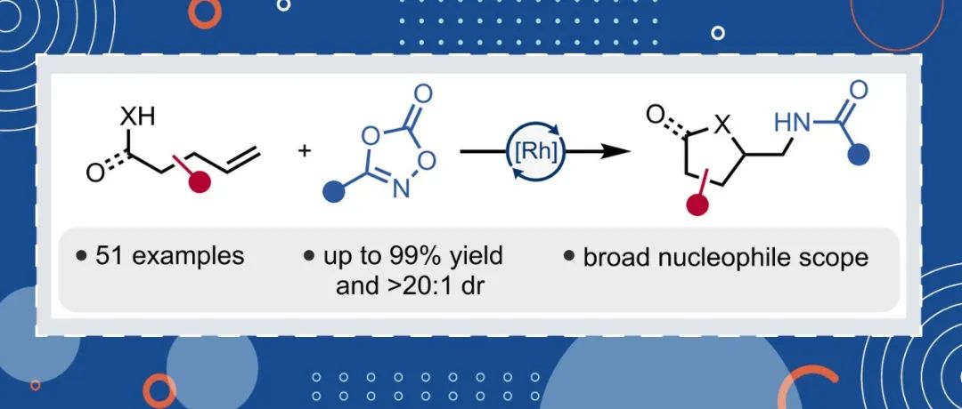 美国哥伦比亚大学Tomislav Rovis课题组：Rh(III)-催化烯烃的反式亲核酰胺化反应制备多种杂环化合物