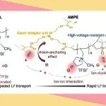 苏州纳米所沈炎宾团队Angew. Chem. Int. Ed.：阴离子调制--设计适用于高电压固态锂金属电池的聚合物电解质