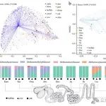 兰州大学最新Nature Communications!