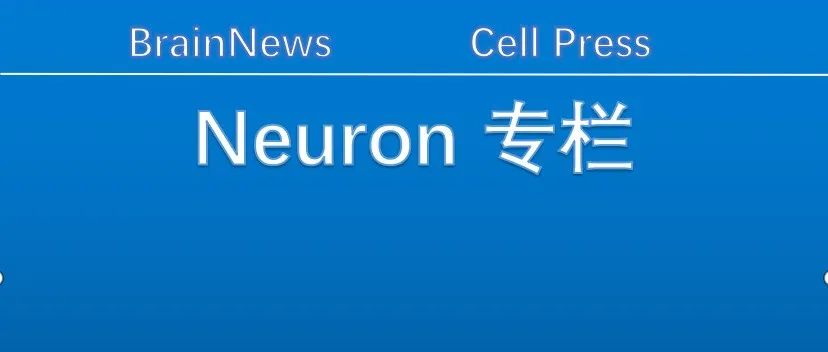 Neuron：深入揭示海马NMDA受体调控新机制