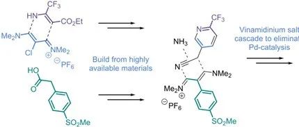 Application of Vinamidinium Salt Chemistry for MMV048