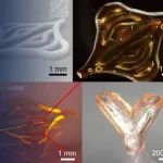 高精度生物3D打印水凝胶，解锁生命健康多场景应用