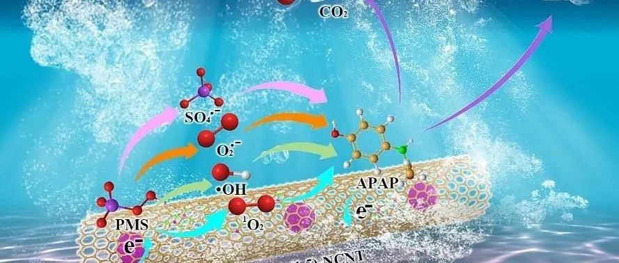文献速递|华侨大学SPT:用于 PMS 活化的 Co 和 N 共掺杂碳纳米管催化剂： 非自由基的作用