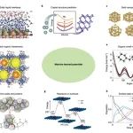 时代榜样 | AI for Science时代，“ 天才少年 ”连续发表国际顶刊，引爆学术界核弹！