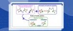 ACS Catal.：酸性质子在含铁沸石催化甲烷直接氧化反应中的作用