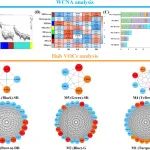 西北农林科技大学王成课题组: 结合电子鼻、GC-MS、GC-IMS和化学计量学探究花椒果实生长不同阶段的挥发性特征