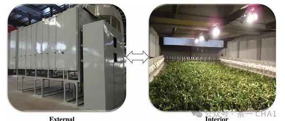 新型多功能预处理设备在绿茶摊放、红茶萎凋和乌龙茶摇青中的应用研究