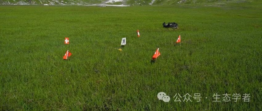 山西师范大学陈仁飞和兰州大学邓建明教授在National Science Review发表生物量分配瞬态理论体系重要研究进展！