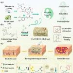 武汉理工赵政教授 IJBM：由天然小分子组成的生物活性复合物功能化的“一体化”自愈可注射阳离子瓜尔胶水凝胶敷料