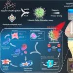Biomaterials：钼纳米点可作为抗氧化剂实现骨关节炎光热治疗
