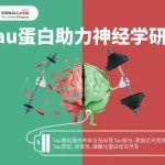 剑桥大学Science/Cell双发：新型特洛伊木马疗法特异性降解Tau蛋白