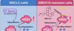 Cell Rep丨北京大学黄昊课题组揭示RAS家族首个去泛素化酶，为治疗耐药性非小细胞肺癌提供新策略