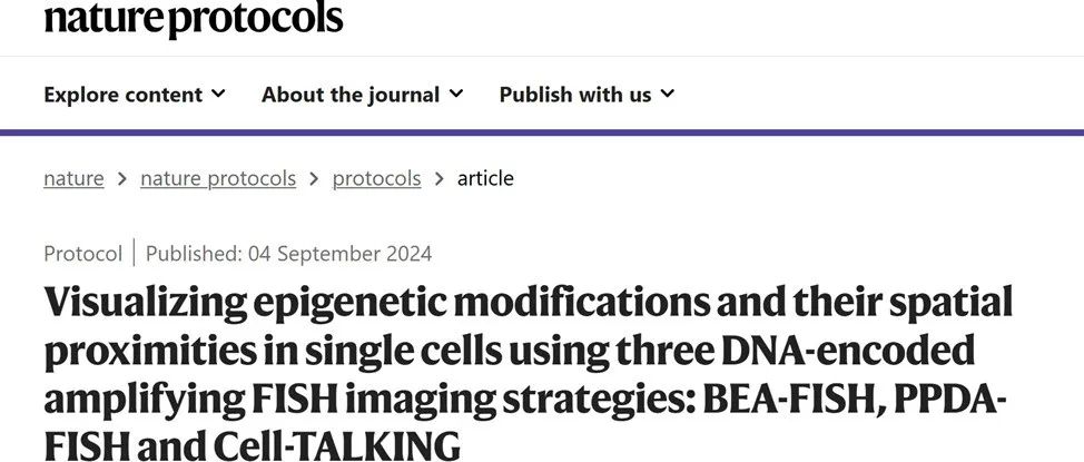 Nat. Protoc | 西安交大赵永席教授团队在单细胞核酸表观修饰分析领域取得重要进展