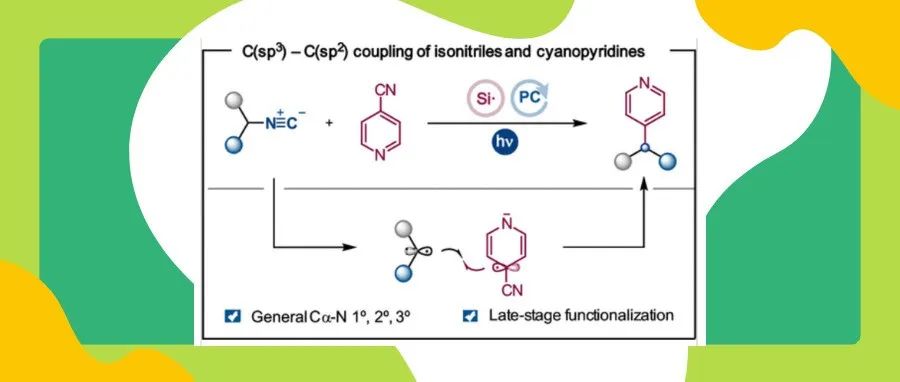 ACS Catal.：利用光催化的双脱氰基化实现异氰和（杂）芳烃的偶联