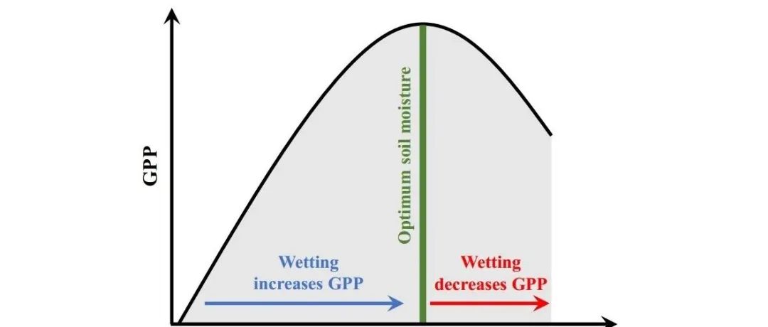 牛书丽课题组Nature Communications最新成果！揭示生态系统光合的水分适应性！