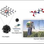 湘潭大学费俊杰团队JHM：双金属PdCu锚定于三维花状碳材料作便携式高效检测草甘膦