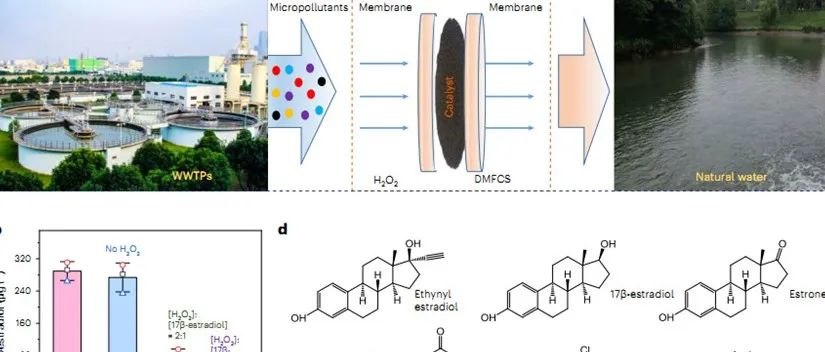 中科大Nature Water丨利用偶联聚合反应和催化剂表面位点协同结构的水净化MOX/H2O2类芬顿技术实现超低的H2O2用量