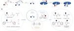 武汉大学最新Science