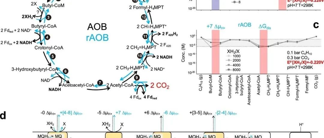 Nature Communications | 浙江大学陈松灿团队合作揭示多碳气态烷烃的生物合成潜力