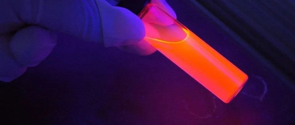 Nature Biotechnology：工程病毒样颗粒！