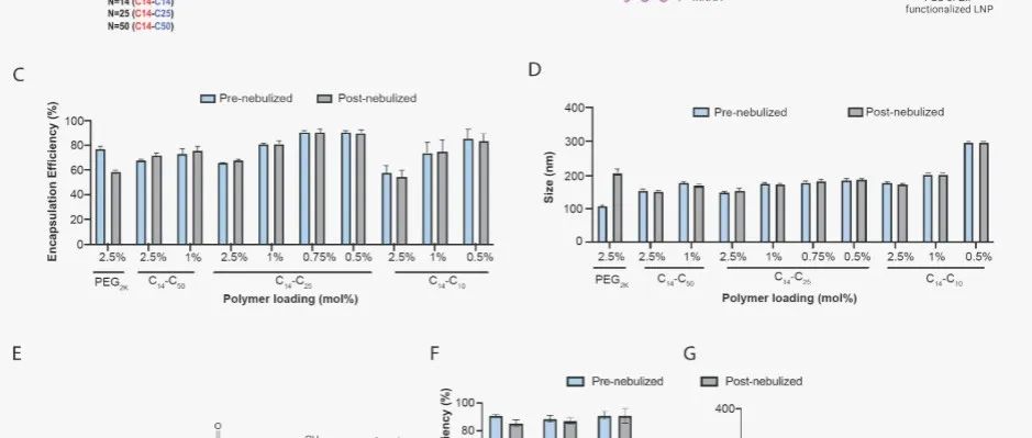 JACS|用于 mRNA 雾化递送的两性离子聚合物功能化脂质纳米颗粒