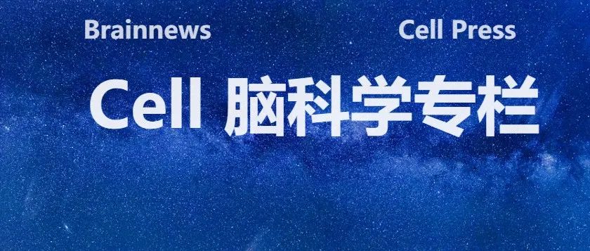 Cell今日上线：压力与恐惧记忆的新机制（杏仁核、内源性大麻素、PV神经元、印迹细胞）