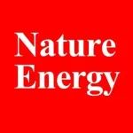 牛！武汉理工「90后」博导，新发Nature Energy！