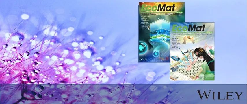 【太阳能电池】EcoMat：PTAA 渗透薄壁CNT电极及隐藏封装助力高效稳定的钙钛矿太阳能电池