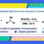 五邑大学彭金宝教授课题组Org. Lett.：钼促进的硝基芳烃与醇的还原邻位烷基化