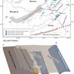 张丽莹：后碰撞高镁安山岩成因与大陆地壳生长【GSA Bulletin，2024】