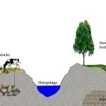 Geosci. Front. | 印度下甘加盆地饮用水地下水中的地源污染物和人为污染物的环境因素和健康风险