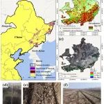 东北地理所在农林科学领域1区Top期刊最新成果！
