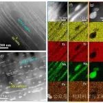 中国石油大学(北京)《Acta Materialia》：操控织构大幅提升纳米线热稳定性!