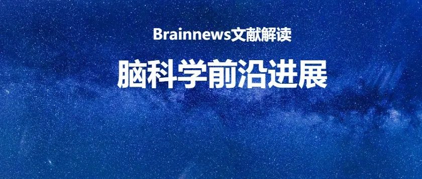 Nat Neurosci: 一次“别开生面”的脑组织跨尺度数据整合分析，让我们重新认识人类大脑连接性