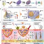 Adv. Mater：基于等离激元超分子纳米酶的生物苍耳用于协同治疗糖尿病感染创面