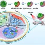 高丽大学J. S. Kim，哈医大张帅，成都大学张亦斌, 梅凌 Biomaterials：自推进智能纳米马达