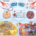 Biomaterials：外泌体修饰的生物异质结可减少热量和ROS传递距离以增强抗菌和肿瘤治疗